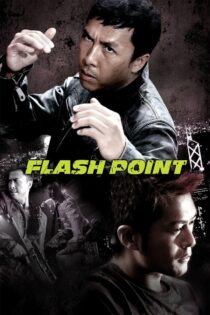 دانلود فیلم Flash Point 2007 نقطهٔ اشتعال